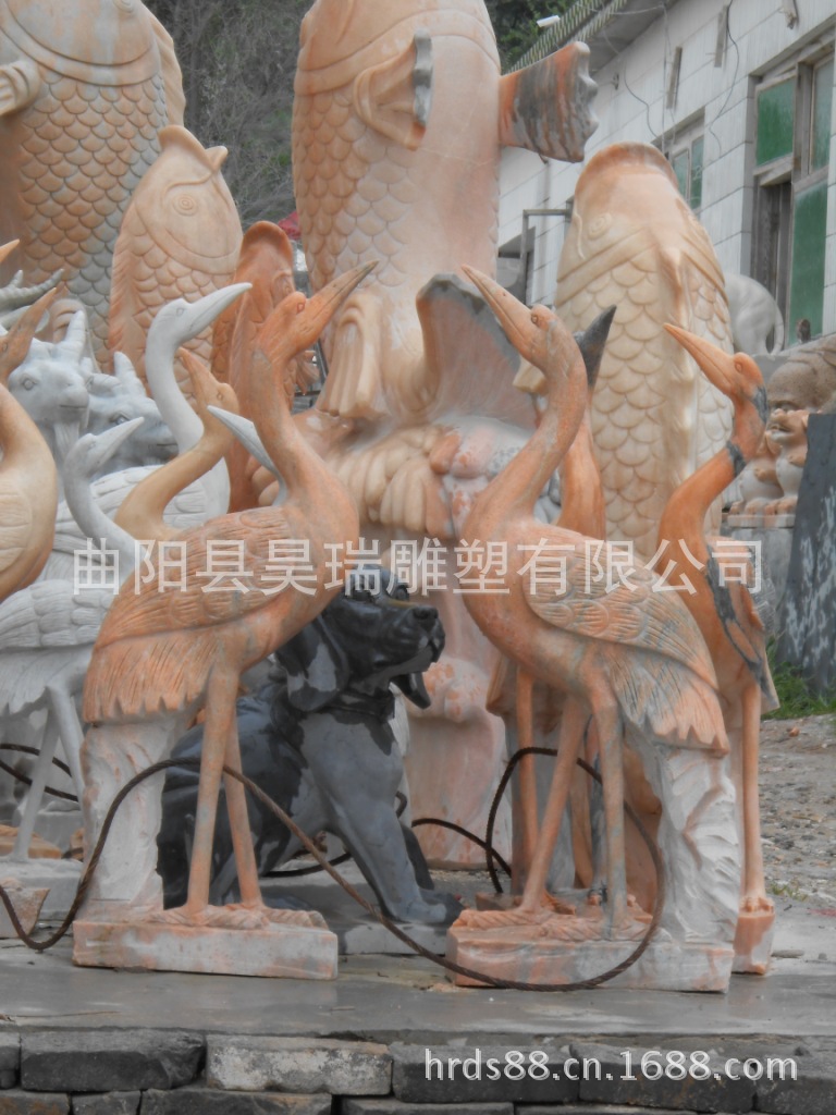 DSCN0181