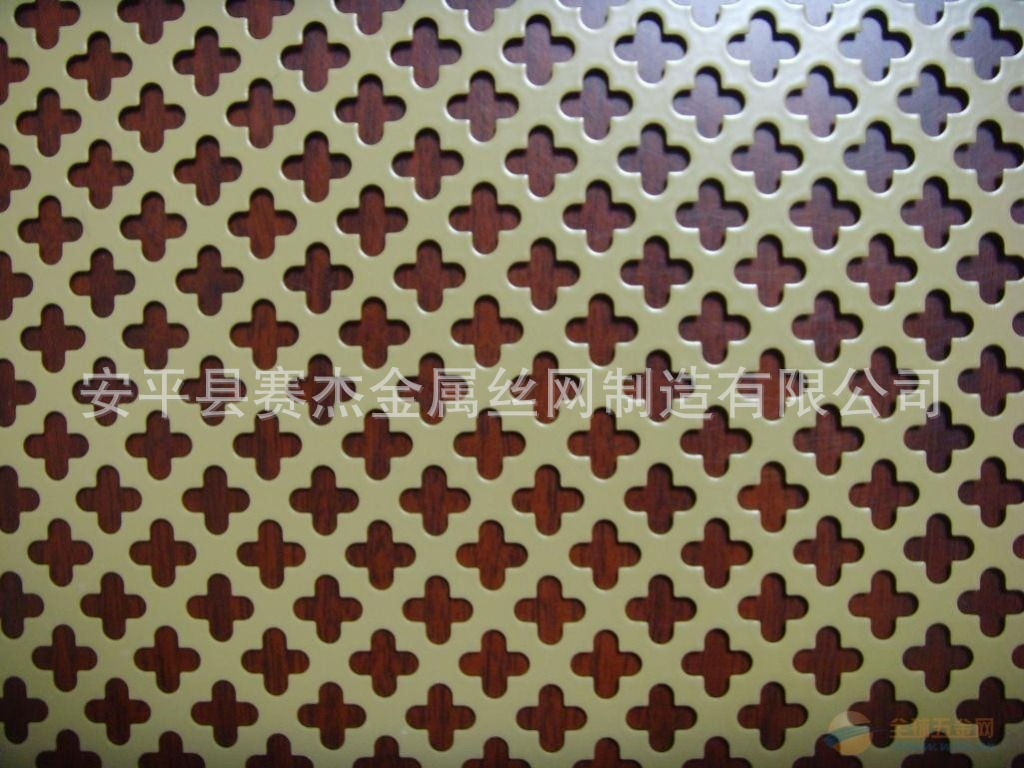 IMG110420100033234100