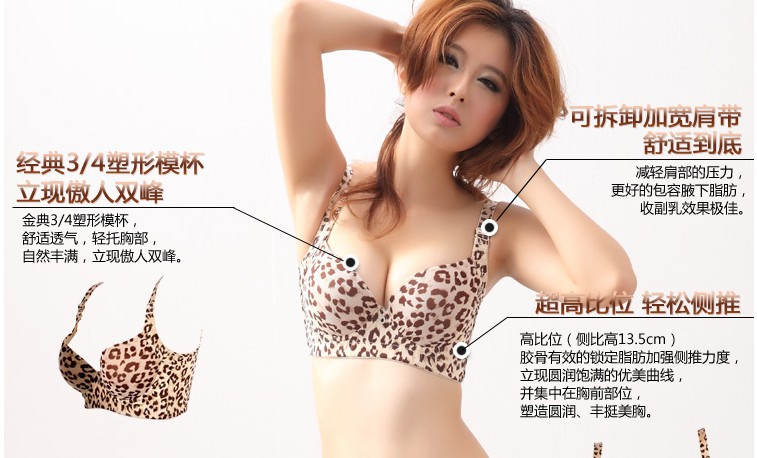 QQ截圖20131117005104