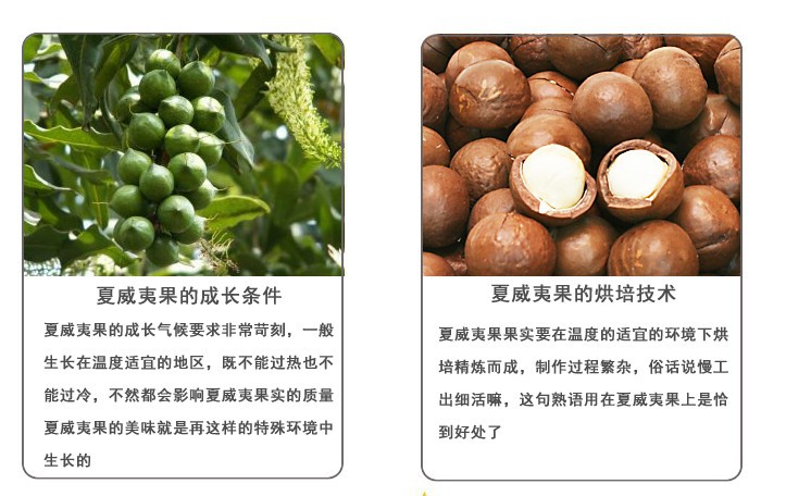 特产炒货坚果坚果皇后澳洲夏威夷果 奶油味10斤/箱