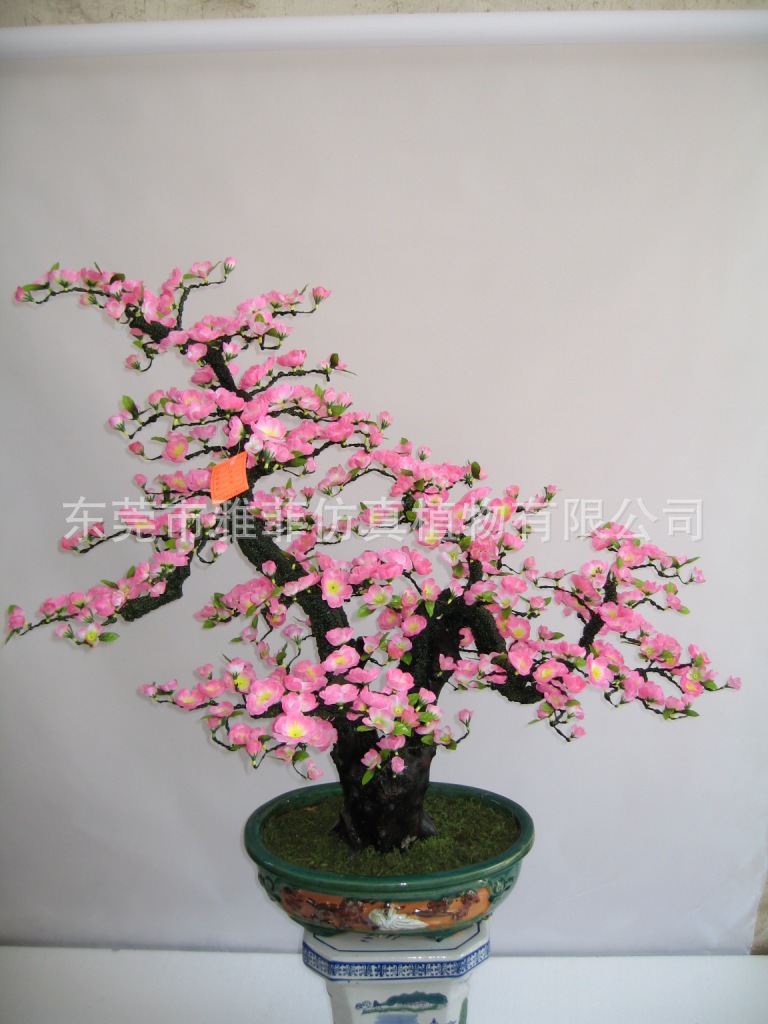 TP623 35寸3号树头悬崖桃花盆景