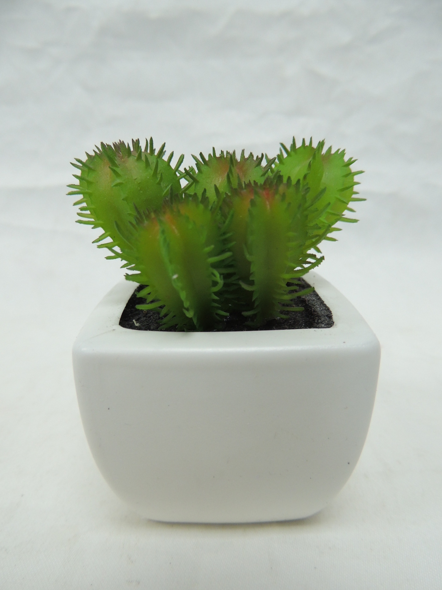 批发采购仿真植物-仙人球小盆栽混装批发采购