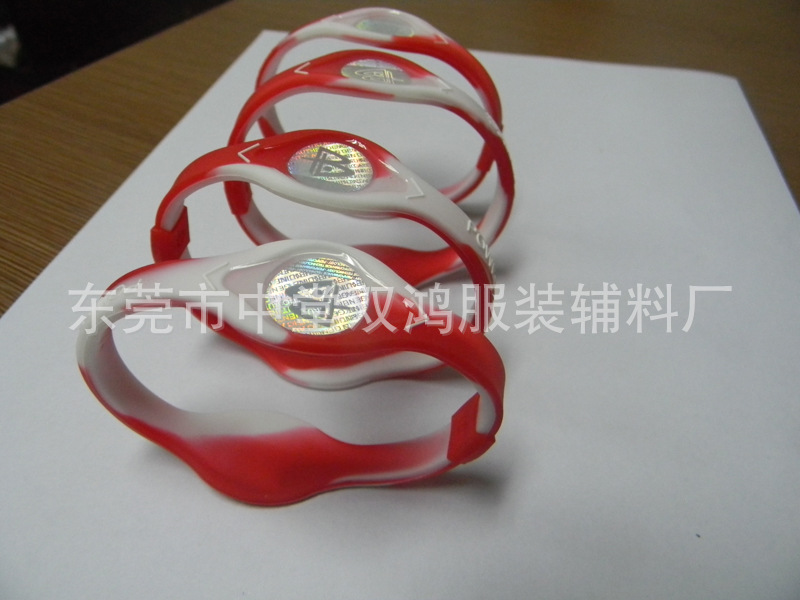 DSCN4806