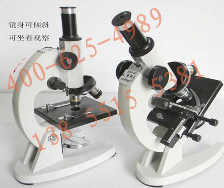 顯微鏡（640倍）_03