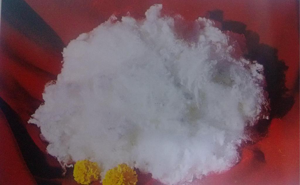 6.67dtex螺旋型三维卷曲中空涤纶短纤维 图片