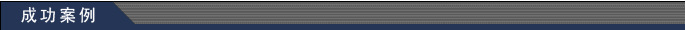 成功案例