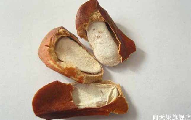 向天果 简介与功效作用