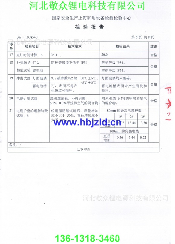 网上用矿灯检验报告(6)