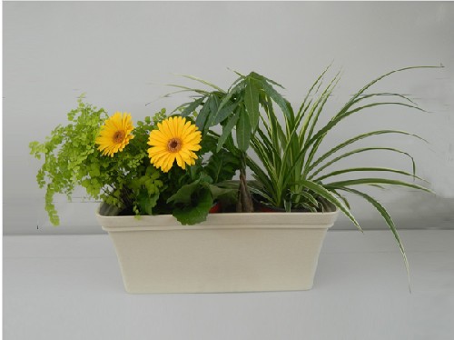 T2CJyGXolbXXXXXXXX_!!204500942