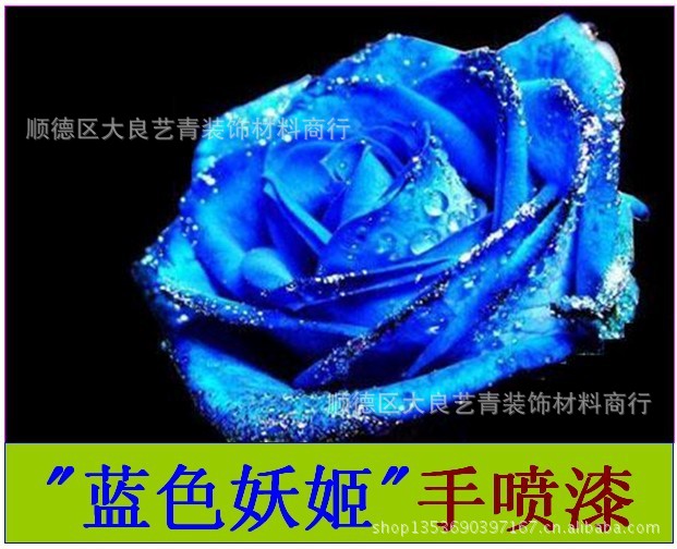 蓝色妖姬手喷漆