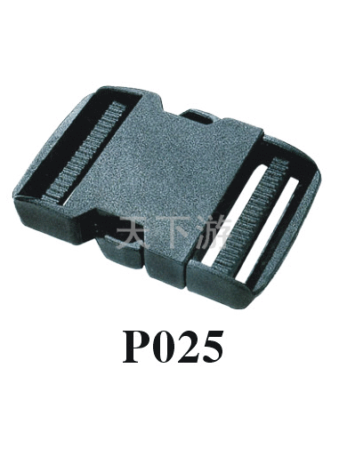 P025