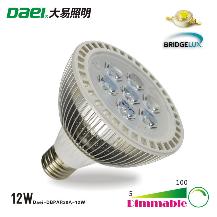 DB-PAR30A-12W-2