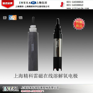 在线溶解氧电极  DO-958S型  上海精科