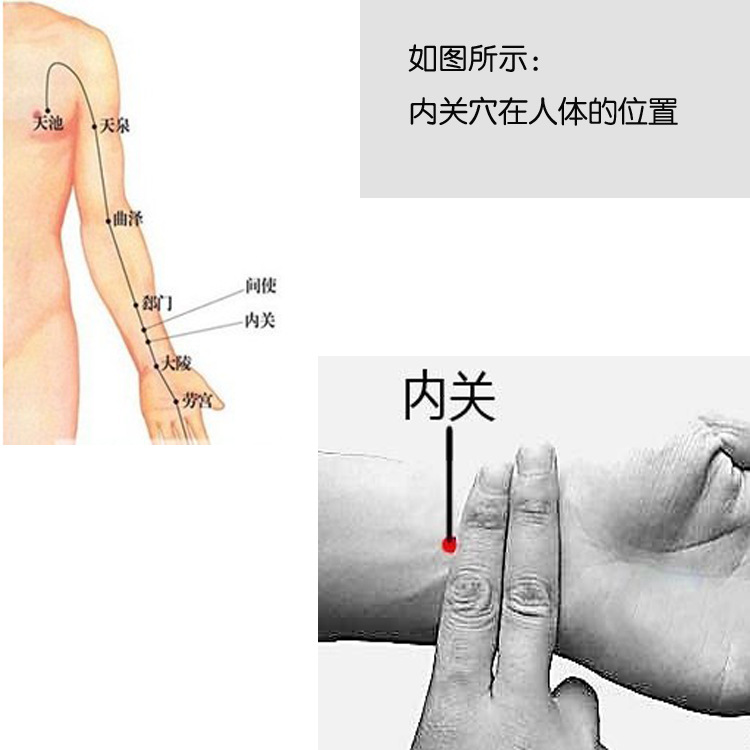 帶法-1