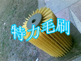 毛刷辊4