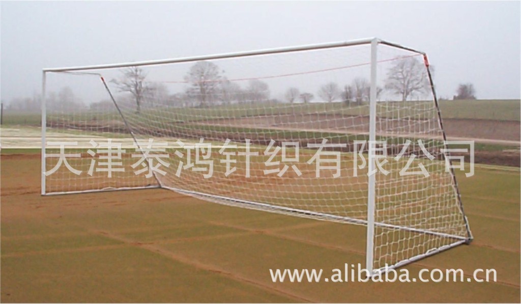 【厂家】 国际标准比赛休闲专用 多款足球门网