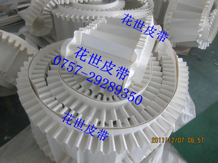 裙边档板输送带 (22)