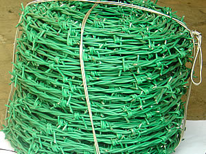 barbedwire012