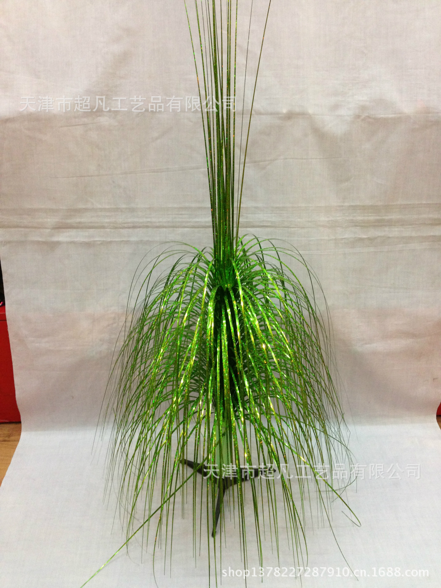 照片 006