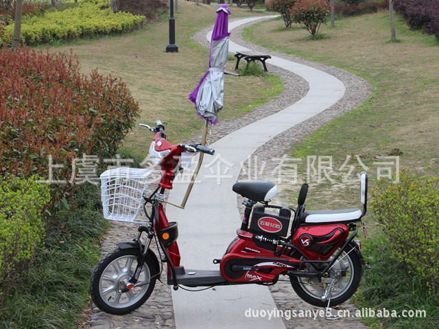 花邊電動車傘