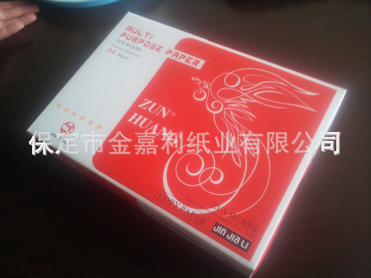 出口英文品牌包装 复印纸 A4 80g copy paper 