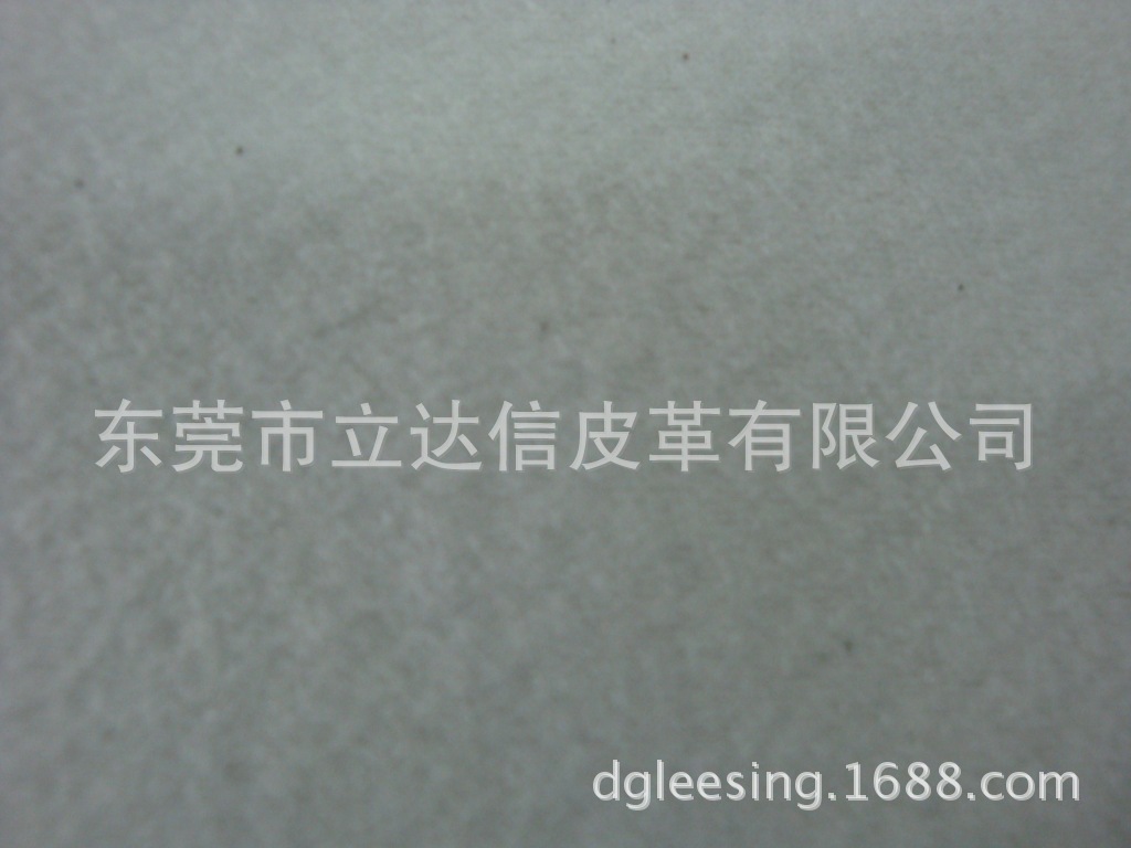 DSC08793