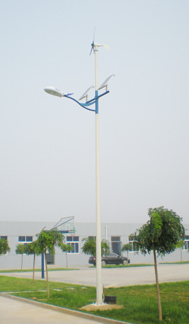 CCFG-001