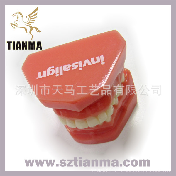 TEETH MODEL 2