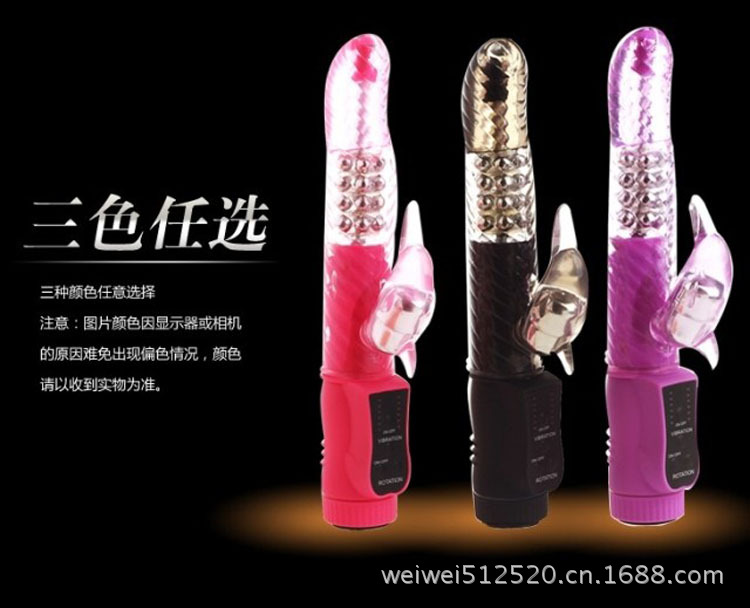 邦愛無敵海豚12