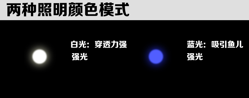 2013 新款钓鱼灯