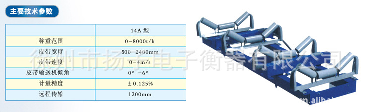 ICS-14A型高精度電子皮帶秤2