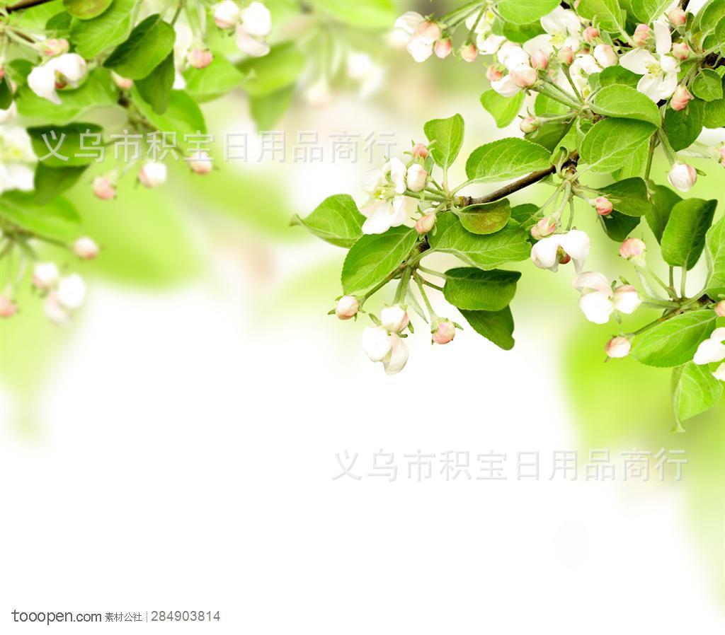 sy_201202241303477011-1