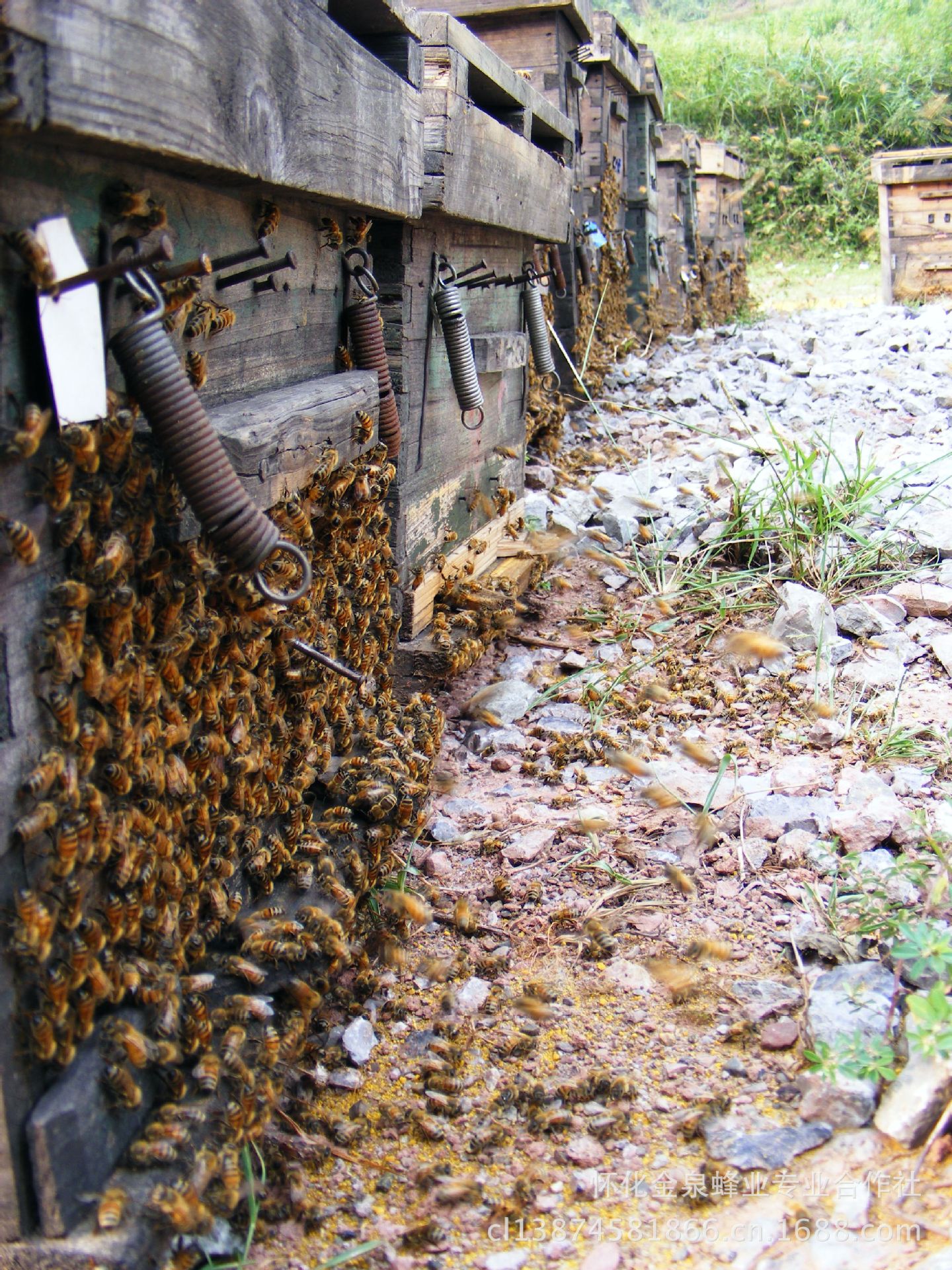 【纯天然野生蜂蜜 纯天然成熟野花蜂蜜 优质野