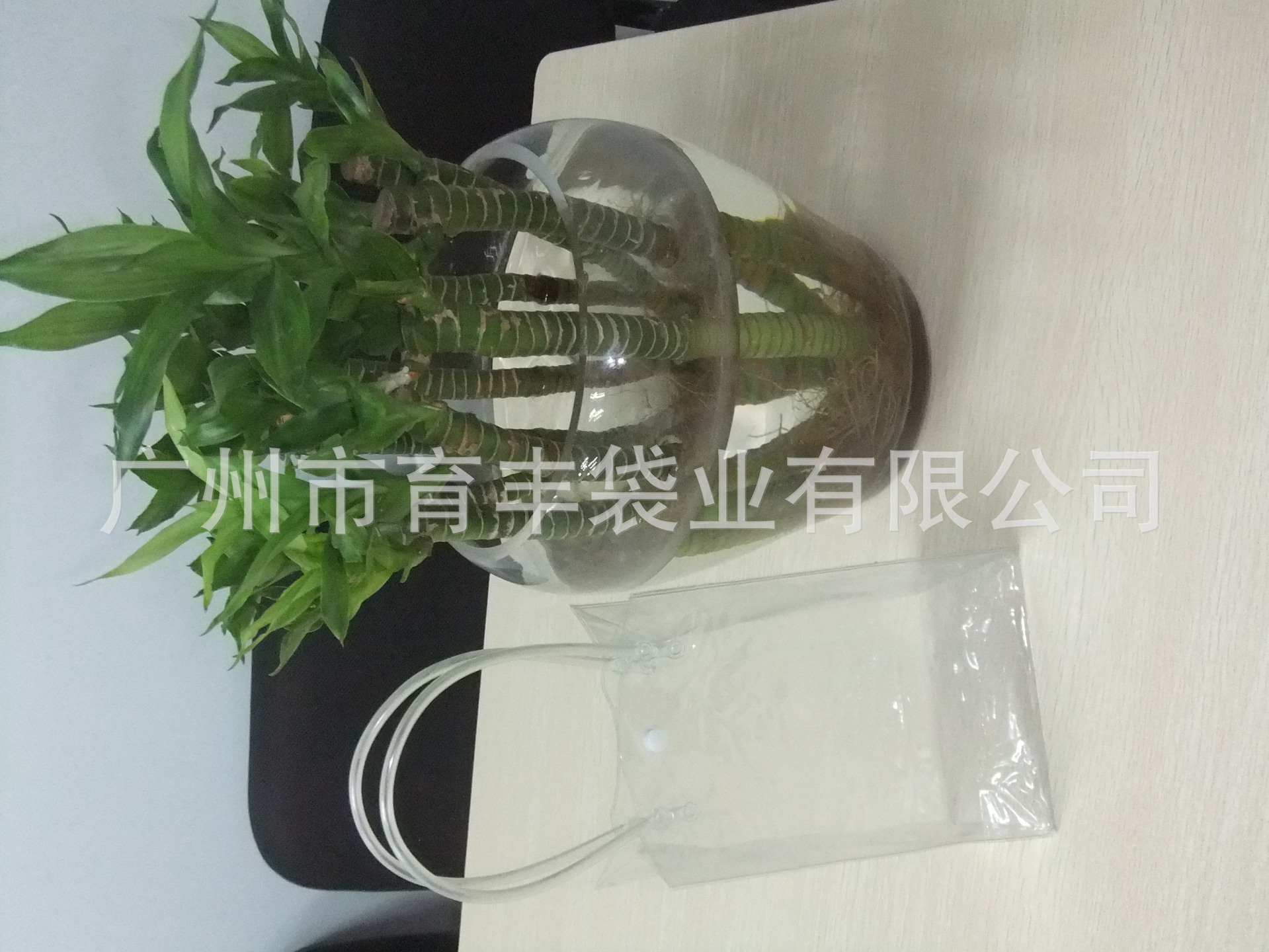 DSCF1351