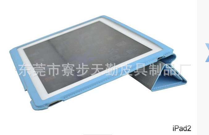 Ipad 套 (62)