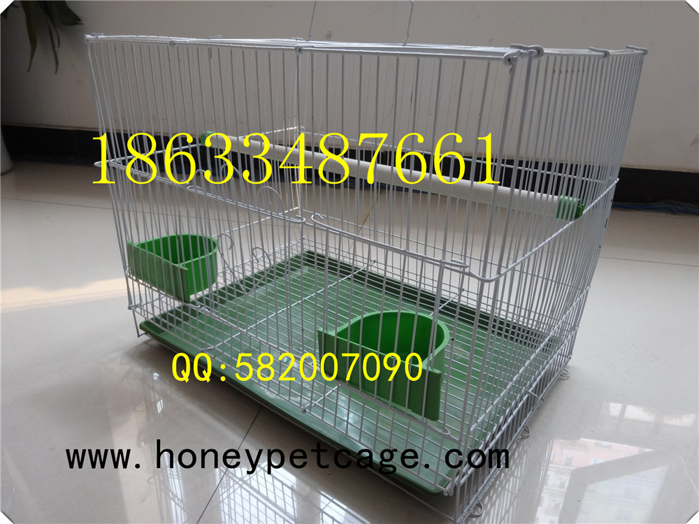 铁丝鸟笼 小群 (19)