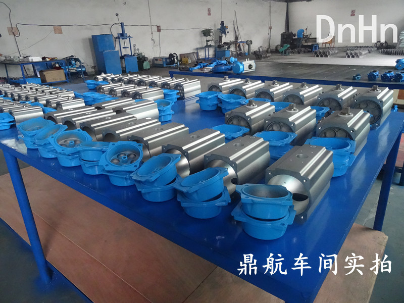 DSC00736_副本_副本