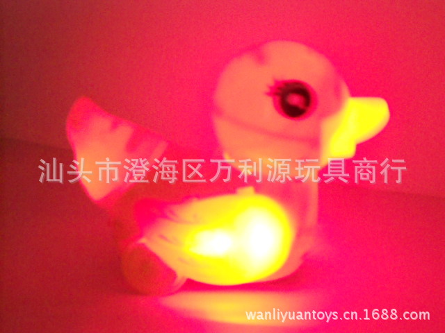 DSCN5009
