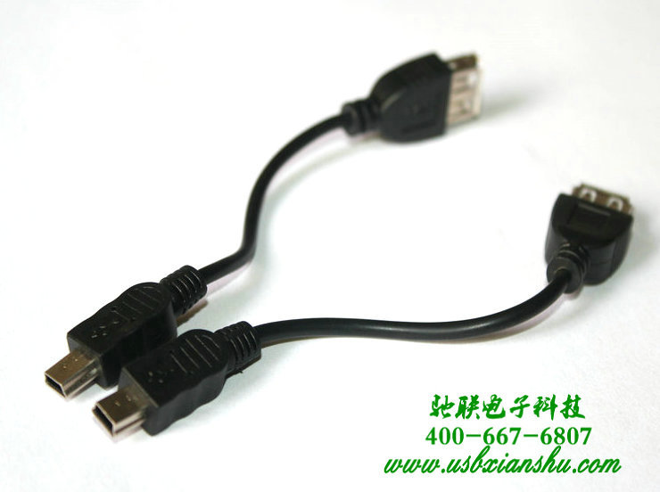 USB转接线MiniUSB 公转USB母头