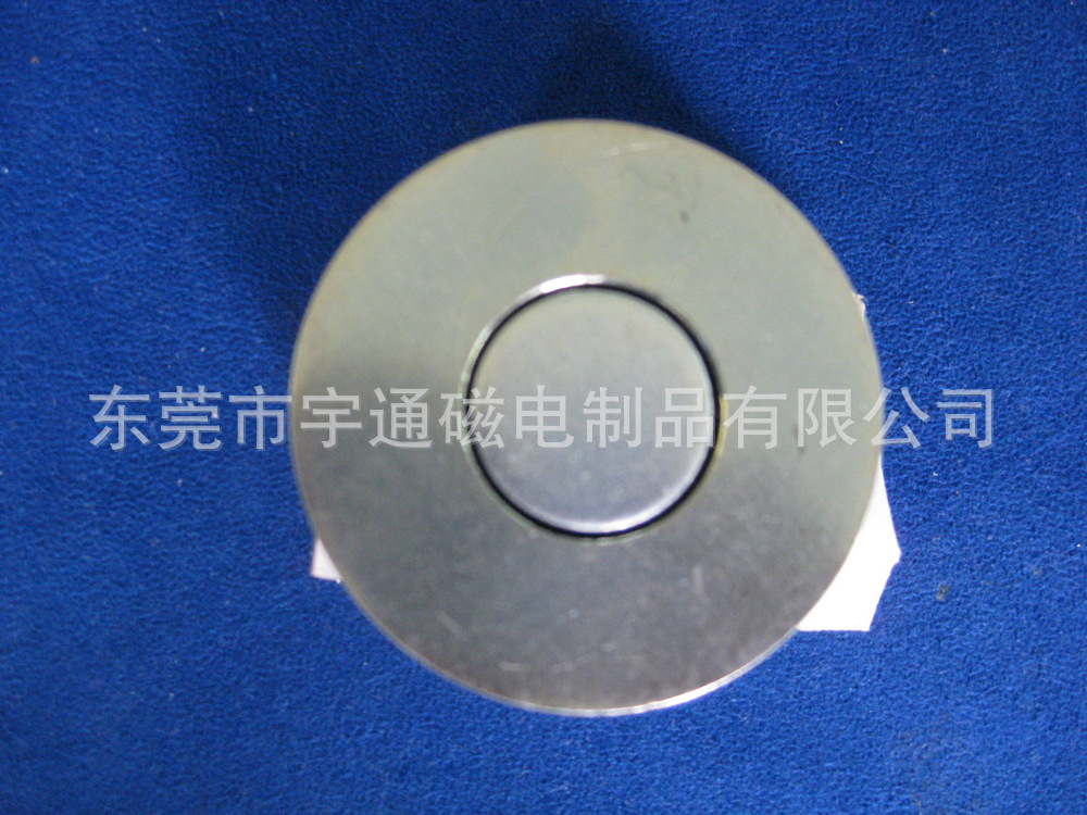 D60.2X30MM音响磁铁20元C