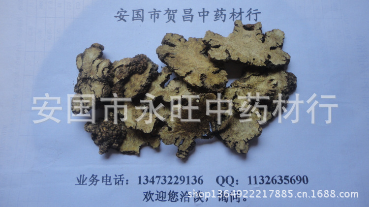 批发各种中药材中药饮片 川芎 川芎粉 GSP 药