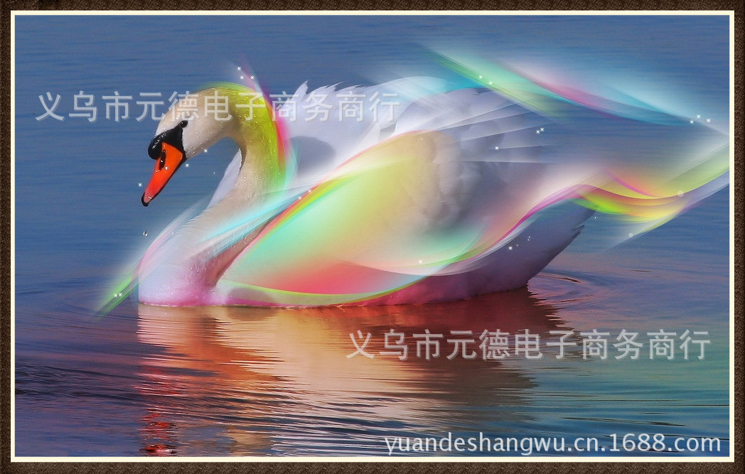 天鹅七彩 80X50_副本