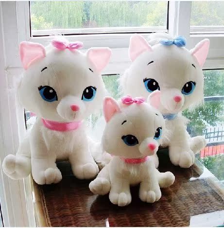 貓