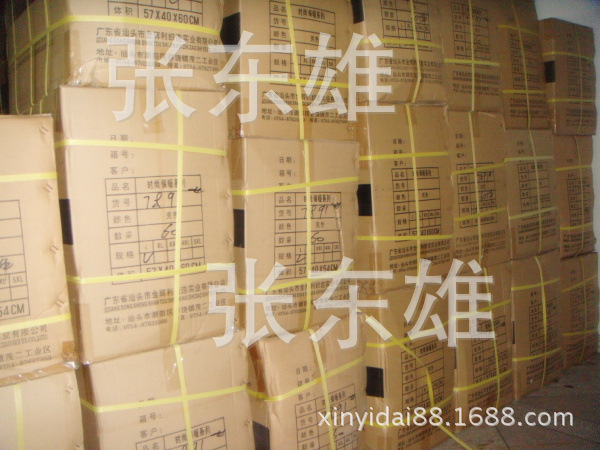 DSC03243