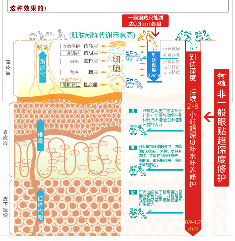 為什麼夜間修復_03