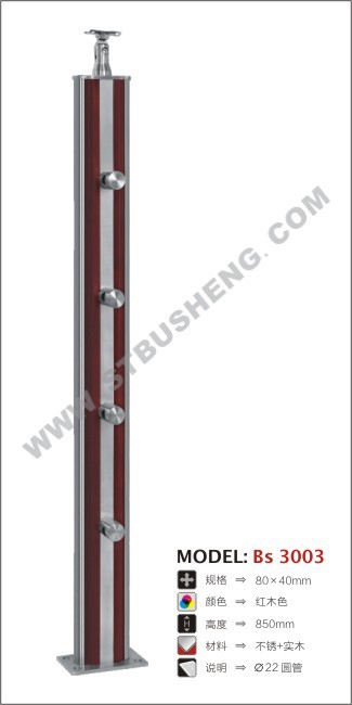 Bs 3003