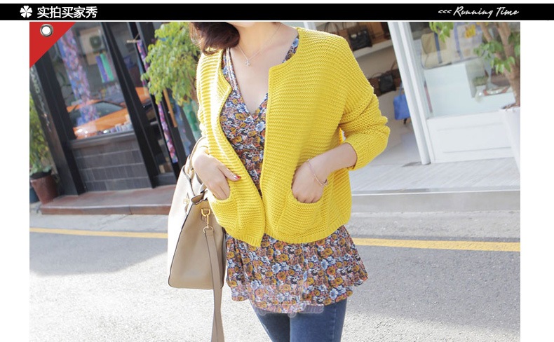 【韩国东大门<em>品牌</em>女装秋冬毛衣孙俪<em>短款圆领开</em>