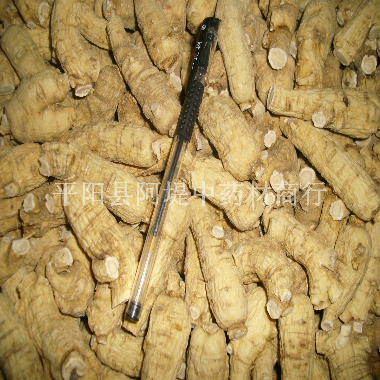 软15g粒头批发西洋参段 片 人参 花旗参 国产 进