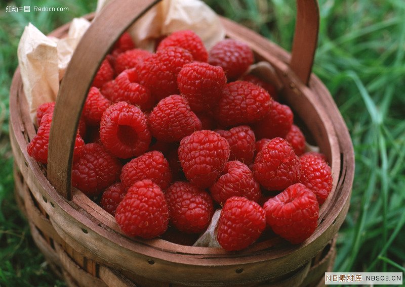 植物提取物-西安厂家现货销售厂家供应 红莓提