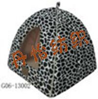 nEO_IMG_G06-13002
